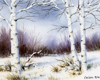 Limited Edition Print by Corliss Blakely " Birch Trees"