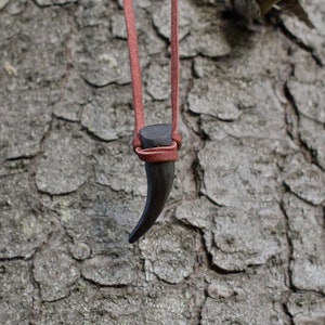 May include: A dark brown tooth pendant hangs from a red leather cord against a rough bark background.
