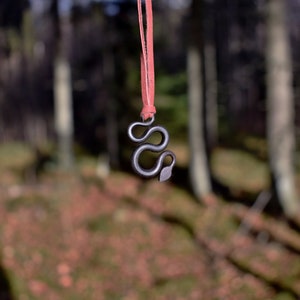 May include: A black metal snake pendant hanging from a red cord. The pendant is in focus, while the background is blurred and shows a forest setting.