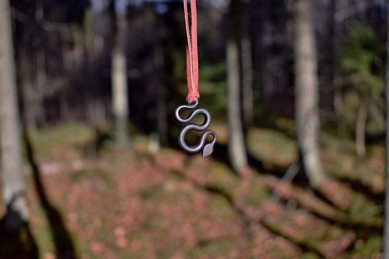 May include: A black metal snake pendant hanging from a red cord. The pendant is in focus, while the background is blurred and shows a forest setting.