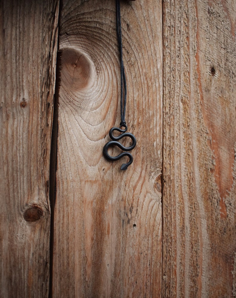 May include: A black snake pendant hangs from a black cord against a woodgrain background.
