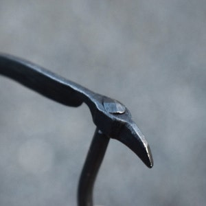 May include: A close-up of a black metal hook with a pointed tip. The hook is bent at a 90-degree angle and has a smooth, polished finish.