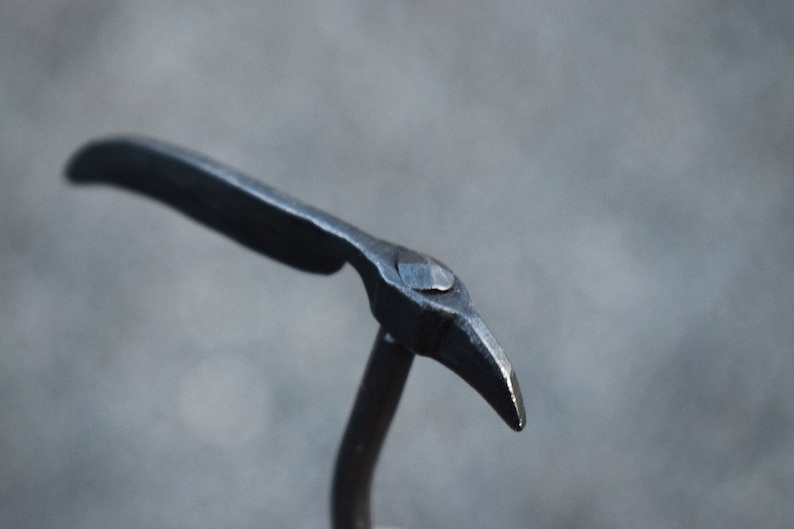 May include: A close-up of a black metal hook with a pointed tip. The hook is bent at a 90-degree angle and has a smooth, polished finish.