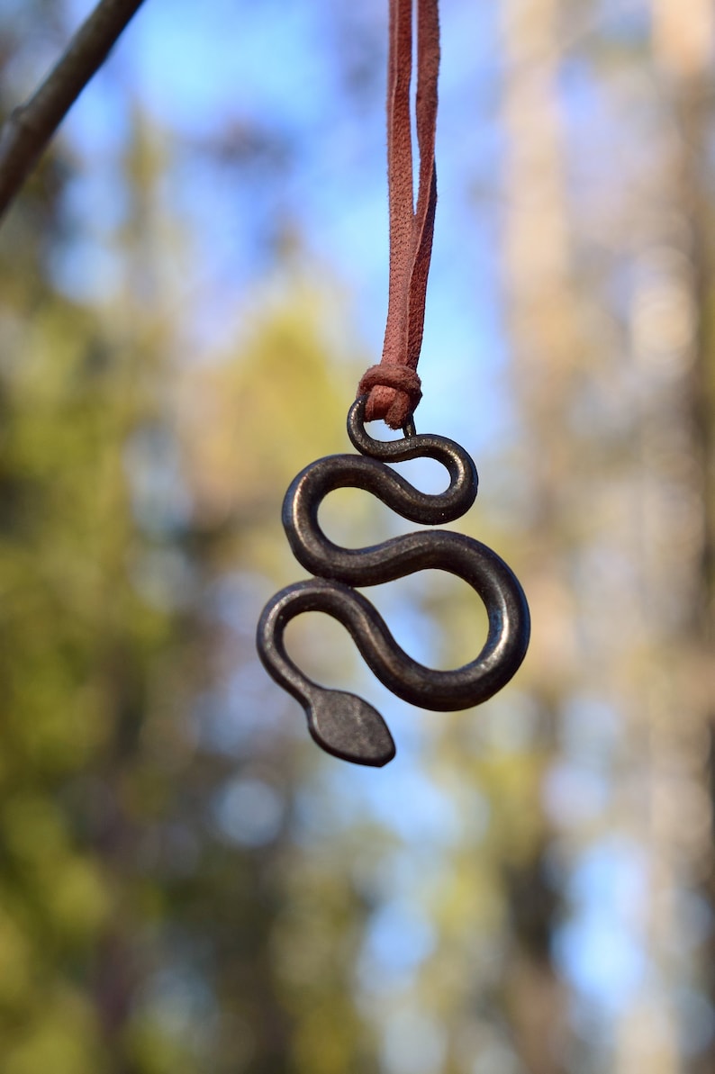 May include: A brown leather cord necklace with a silver snake pendant. The snake is curled up in a circle with its tail in its mouth.