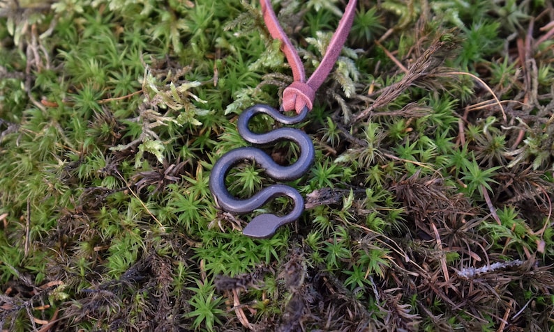 May include: A black metal snake pendant necklace on a brown leather cord. The necklace is lying on a bed of green moss.