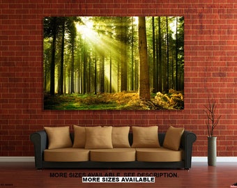 Forest with sunbeams 3.2 Wall Art Canvas Picture Print