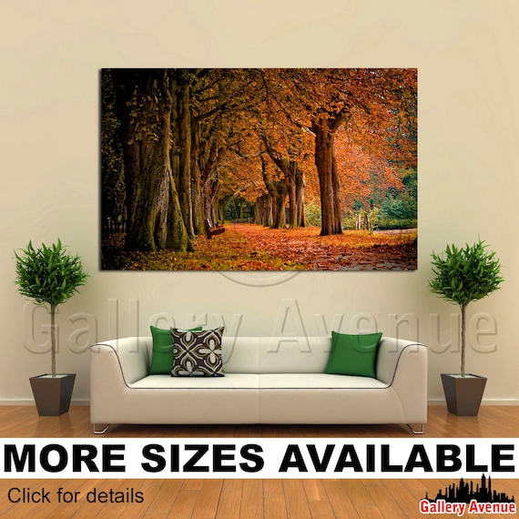 Fall Forest Trees Colors 3.2 Wall Art Canvas Picture Print