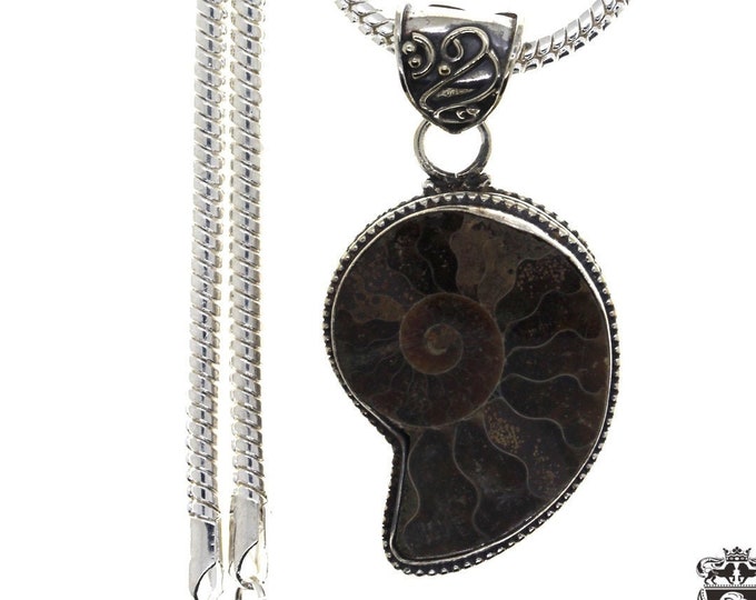 Ammonite Fossil Pendant & FREE 3MM Italian 925 Sterling Silver Chain  P1698
