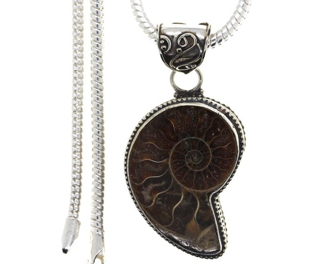 AMMONITE fossil Pendant & FREE 3MM Italian 925 Sterling Silver Chain  P1703