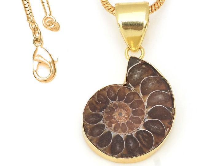 Ammonite Fossil Pendant Necklaces & FREE 3MM Italian 925 Sterling Silver Chain GPH668