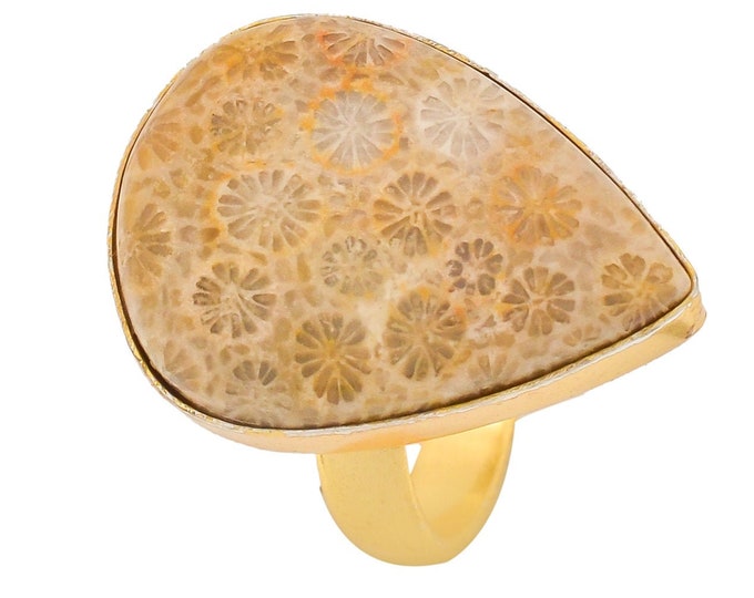 Size 7.5 - Size 9 Fossilized Bali Coral Ring Meditation Ring 24K Gold Ring GPR1336