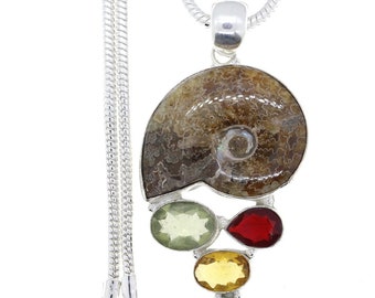 South Dakota Ammonite Sterling Silver Pendant & FREE 3MM Italian 925 Sterling Silver Chain P4520