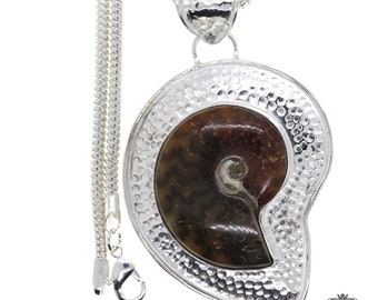 PLACENTICERAS MEEKI AMMONITE Fossil 925 Sterling Silver Pendant  4MM Italian Snake Chain A54