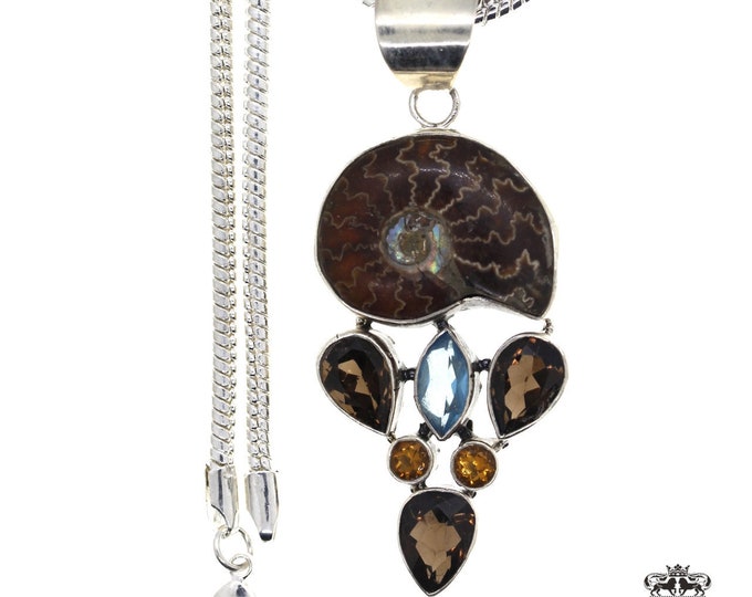 Placenticeras Meeki AMMONITE Fossil Aquamarine Smokey Quartz 925 Sterling Silver Pendant & FREE 3MM Italian 925 Sterling Silver Chain P40