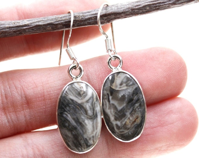 Crazy Lace Agate 925 Sterling Silver Earrings E73
