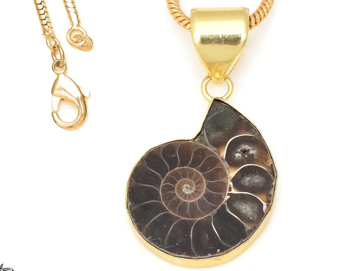 Ammonite Fossil Pendant Necklaces & FREE 3MM Italian 925 Sterling Silver Chain GPH669