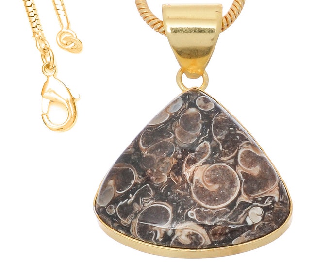 Turritella Agate Pendant Necklaces & FREE 3MM Italian 925 Sterling Silver Chain GPH747