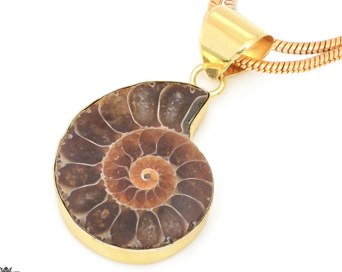 Ammonite Fossil Pendant Necklaces & FREE 3MM Italian 925 Sterling Silver Chain GPH670