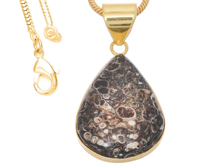 Turritella Agate Pendant Necklaces & FREE 3MM Italian 925 Sterling Silver Chain GPH740