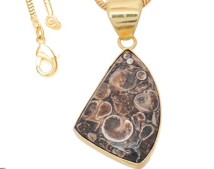 Turritella Agate Pendant Necklaces & FREE 3MM Italian 925 Sterling Silver Chain GPH748