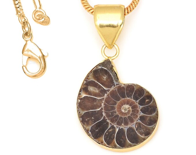 Ammonite Fossil Pendant Necklaces & FREE 3MM Italian 925 Sterling Silver Chain GPH667