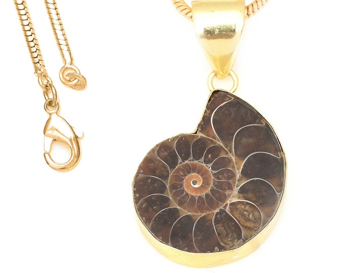 Ammonite Fossil Pendant Necklaces & FREE 3MM Italian 925 Sterling Silver Chain GPH677