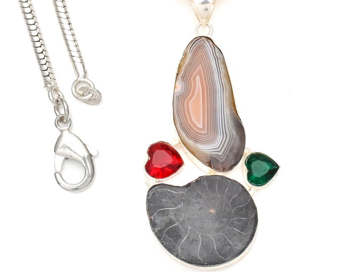 Ammonite Banded Agate  Pendant & FREE 3MM Italian Snake Chain P7150