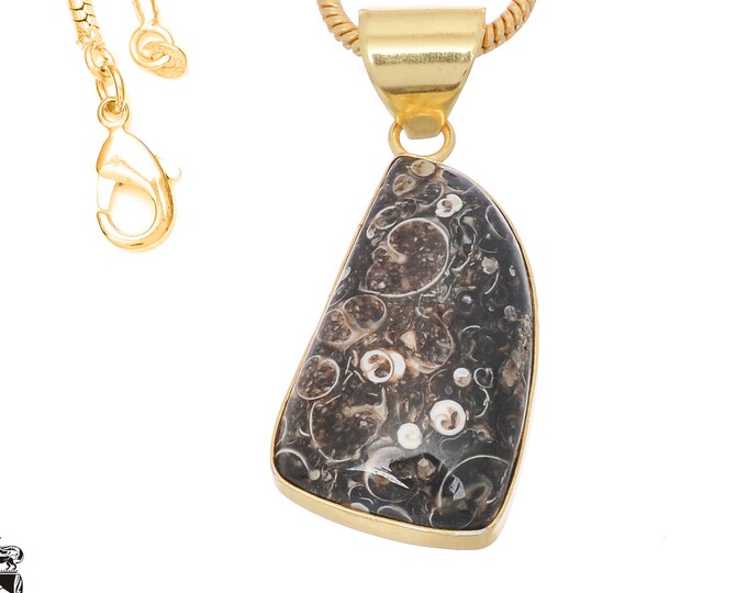 Turritella Agate Pendant Necklaces & FREE 3MM Italian 925 Sterling Silver Chain GPH749