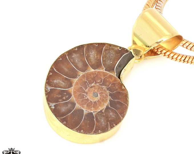 Ammonite Fossil Pendant Necklaces & FREE 3MM Italian 925 Sterling Silver Chain GPH672