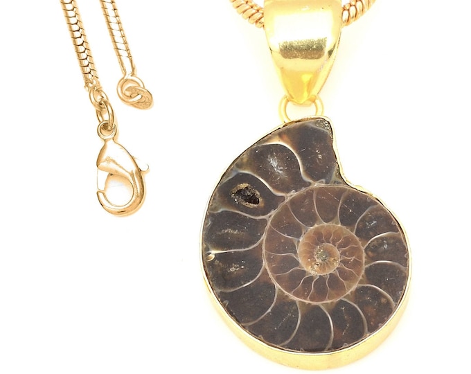 Ammonite Pendant Necklaces & FREE 3MM Italian 925 Sterling Silver Chain GPH680