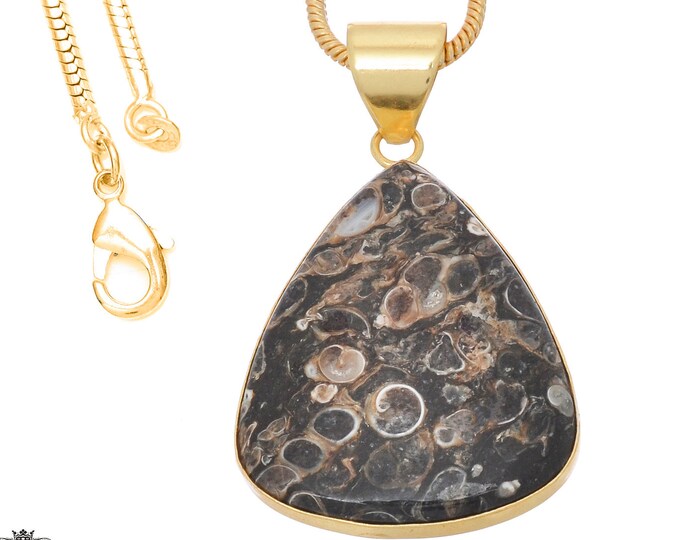 Turritella Agate Pendant Necklaces & FREE 3MM Italian 925 Sterling Silver Chain GPH745