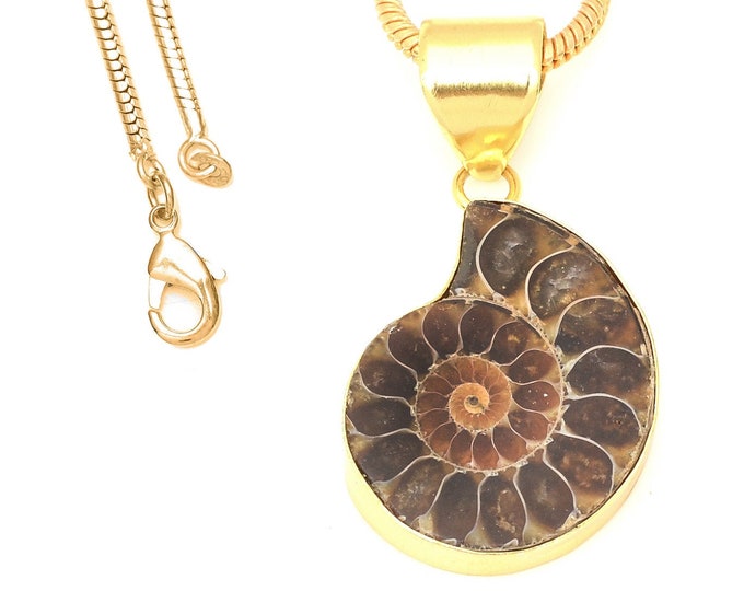 Ammonite Fossil Pendant Necklaces & FREE 3MM Italian 925 Sterling Silver Chain GPH678