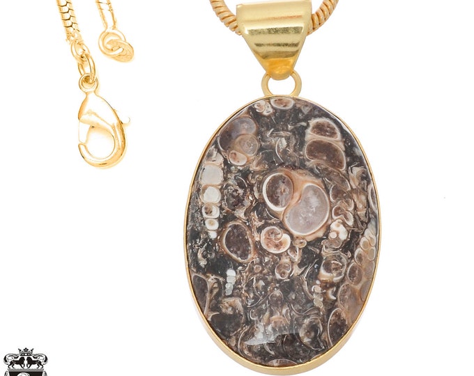 Turritella Agate Pendant Necklaces & FREE 3MM Italian 925 Sterling Silver Chain GPH744