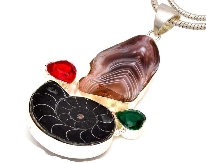 Ammonite Banded Agate  Pendant & FREE 3MM Italian Snake Chain P7024