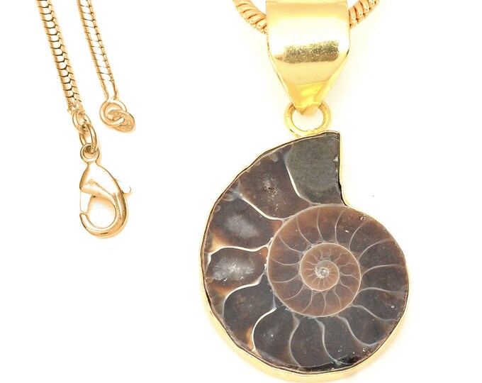 Ammonite Fossil Pendant Necklaces & FREE 3MM Italian 925 Sterling Silver Chain GPH675