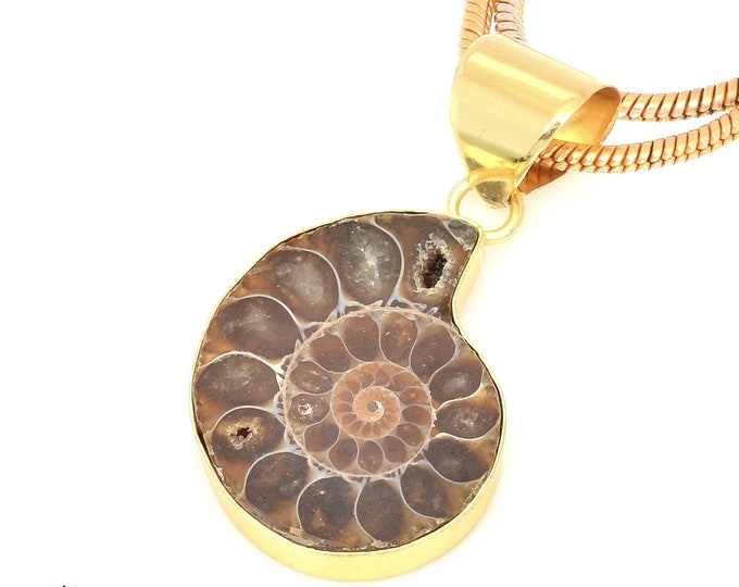 Ammonite Pendant Necklaces & FREE 3MM Italian 925 Sterling Silver Chain GPH679