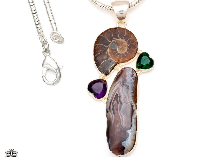 Ammonite Crazy Lace Agate  Pendant & FREE 3MM Italian Snake Chain P6992