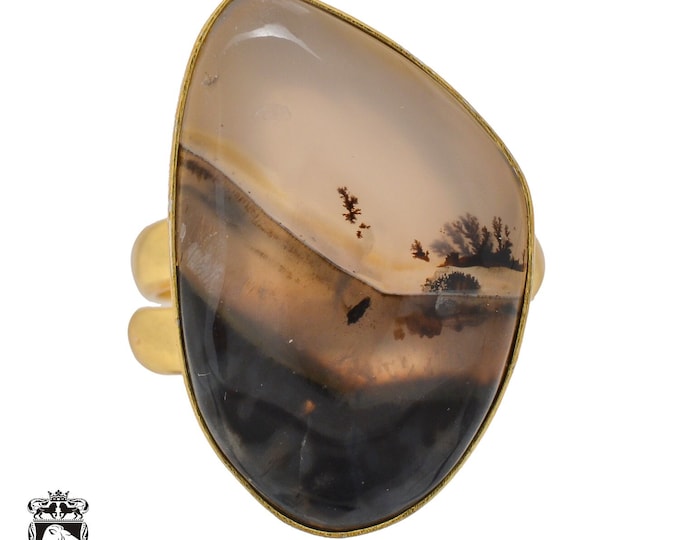 Size 7.5 - Size 9 Scenic Agate Ring Meditation Ring 24K Gold Ring GPR1061