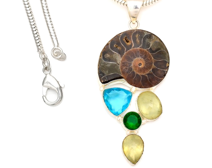 Ammonite  Prehnite  Pendant & FREE 3MM Italian Snake Chain P7127