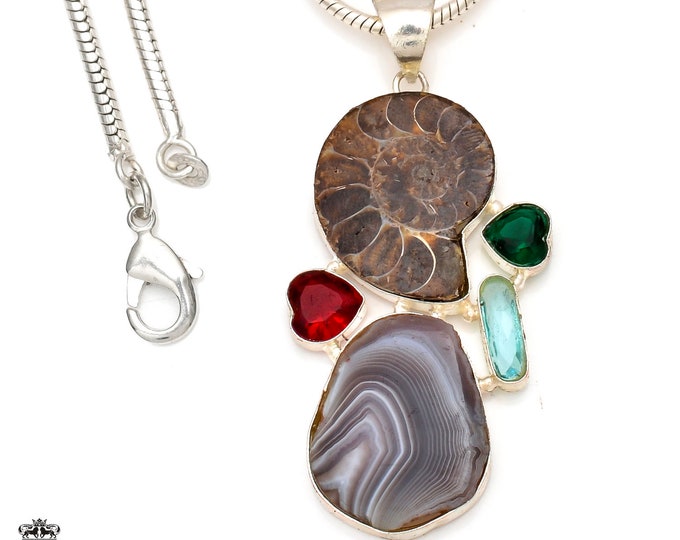 Ammonite Banded Agate  Pendant & FREE 3MM Italian Snake Chain P6975