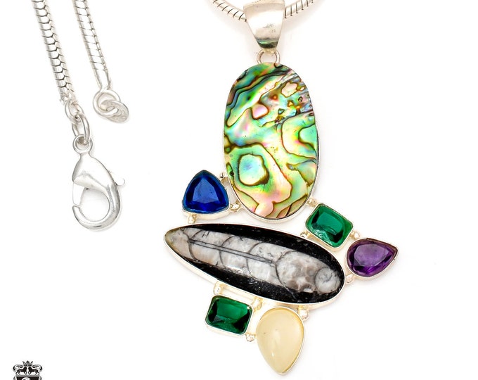 Orthoceras Fossil Abalone  Pendant & FREE 3MM Italian Snake Chain P7004