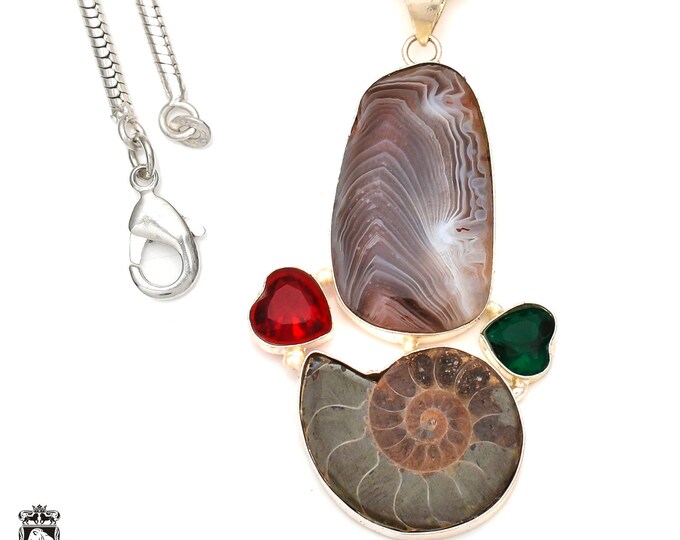 Ammonite Bended Agate  Pendant & FREE 3MM Italian Snake Chain P7154