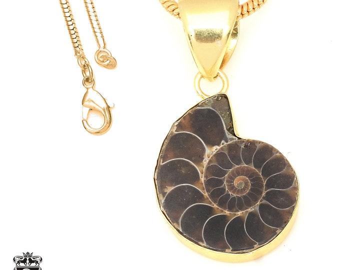 Ammonite Fossil Pendant Necklaces & FREE 3MM Italian 925 Sterling Silver Chain GPH673