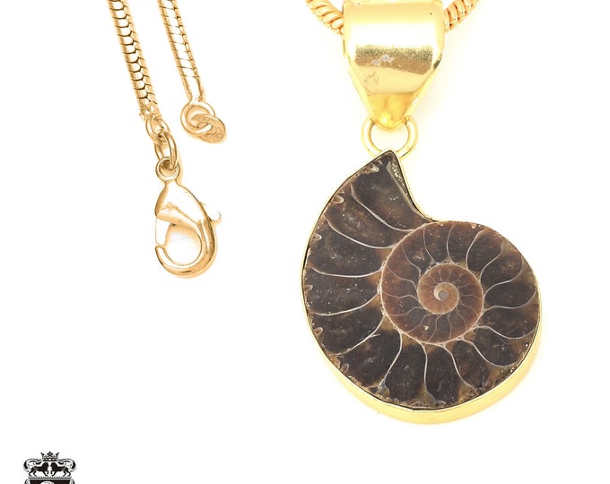Ammonite Pendant Necklaces & FREE 3MM Italian 925 Sterling Silver Chain GPH681