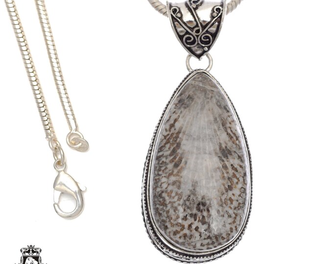 Stingray Coral Fossil Pendant & FREE 3MM Italian 925 Sterling Silver Chain V704