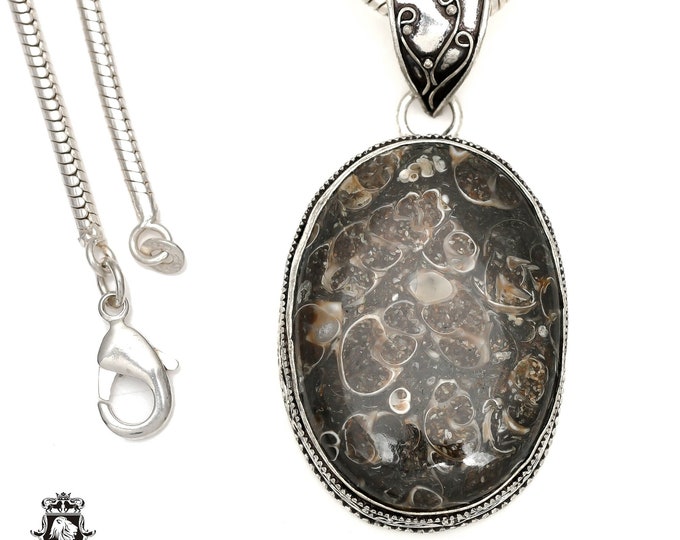 TURRITELLA FOSSIL Agate Jasper Pendant & FREE 3MM Italian 925 Sterling Silver Chain V1585