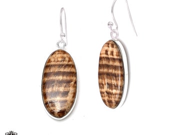 Aragonite 925 Sterling Silver Hook Dangle Earrings