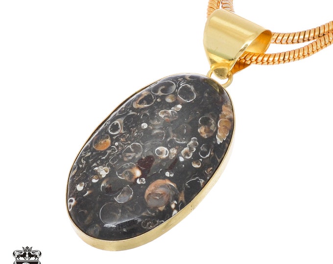 Turritella Agate Pendant Necklaces & FREE 3MM Italian 925 Sterling Silver Chain GPH742