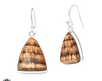 Aragonite 925 Sterling Silver Hook Dangle Earrings