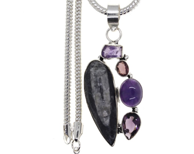 ORTHOCERAS FOSSIL Tear Drop Amethyst 925 Sterling Silver Pendant & 3MM Italian 925 Sterling Silver Chain P4690